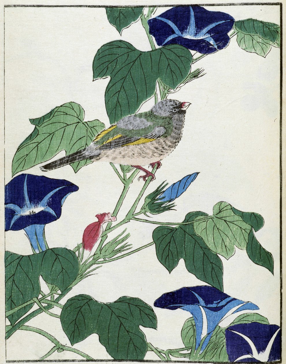 Vogel auf einem Baum. Japanische Zeichnung von Kitao Kosuisai von Kitao Shigemasa