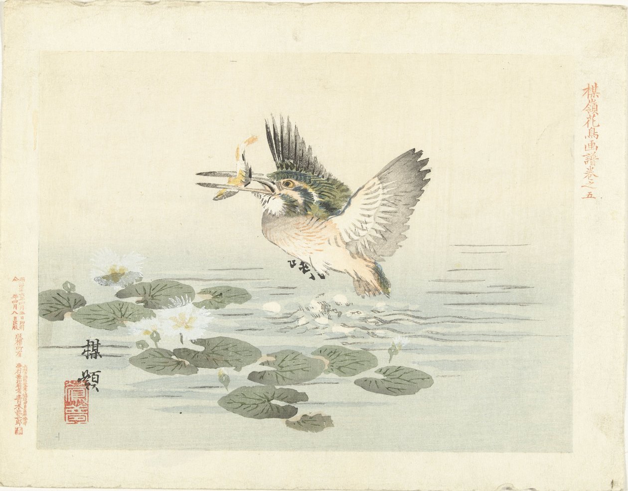 Eisvogel von Kono Bairei