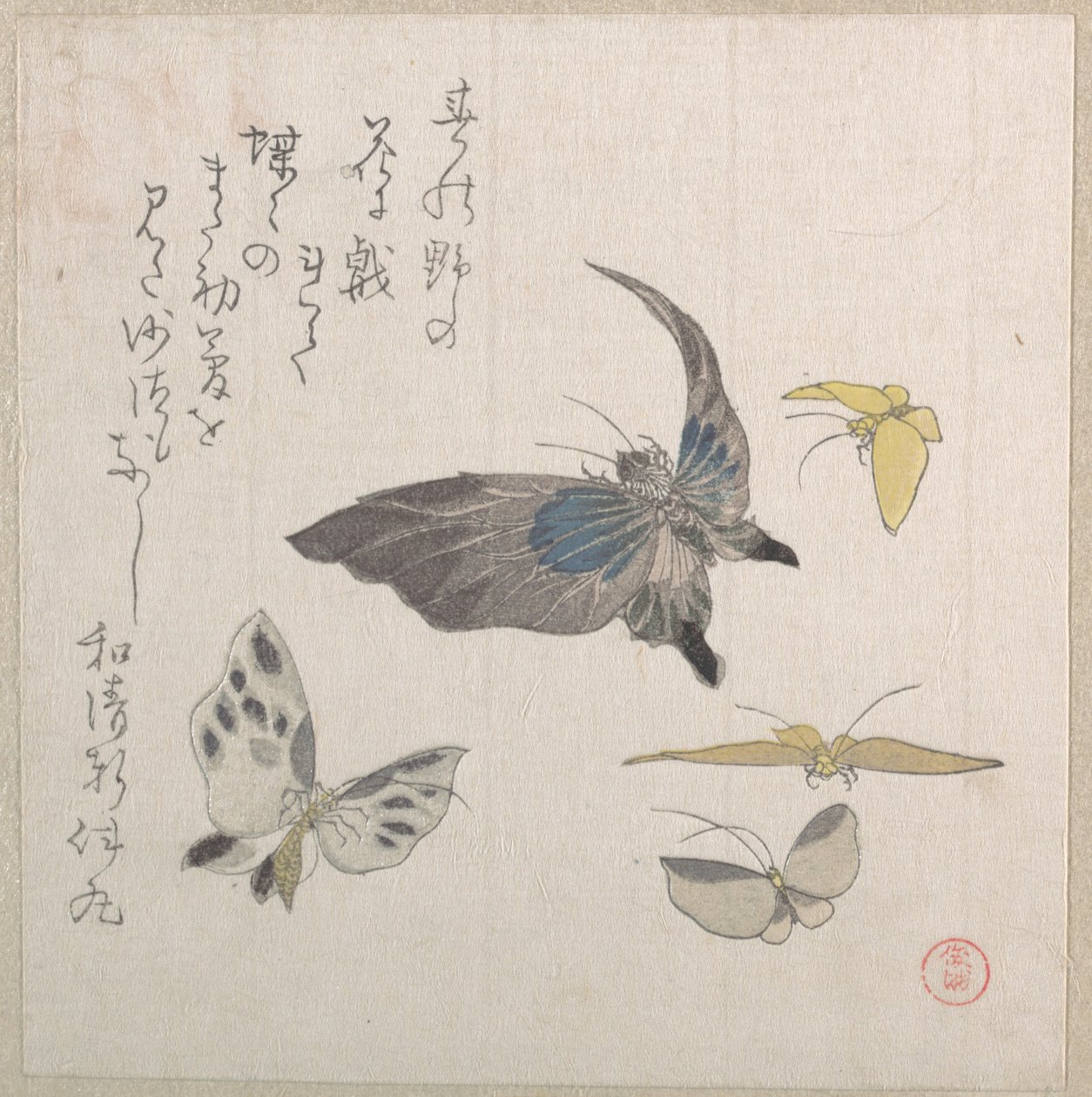 Schmetterlinge von Kubo Shunman