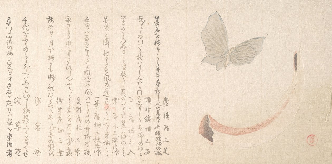 Blumenvase aus Horn und ein Schmetterling, frühes 19. Jahrhundert von Kubo Shunman