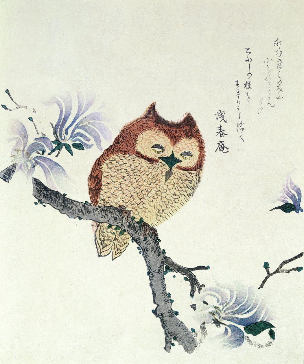 Eule auf einem Magnolienzweig von Kubo Shunman