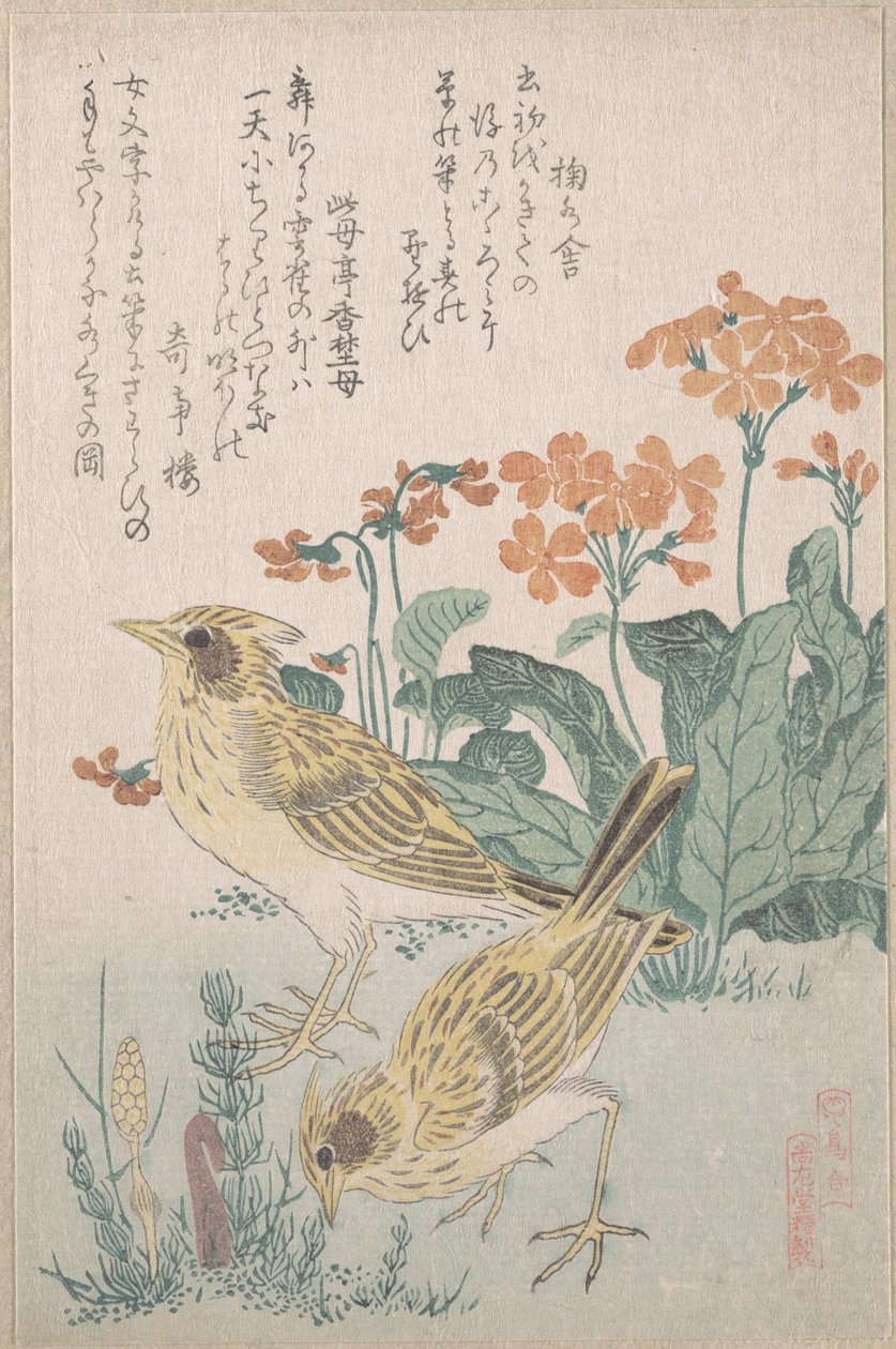 Feldlerchen und Primeln, aus der Serie Eine Reihe von Vögeln (Tori awase), aus dem Frühlingsregen Surimono-Album (Harusame surimono-jō, Bd. 3) von Kubo Shunman