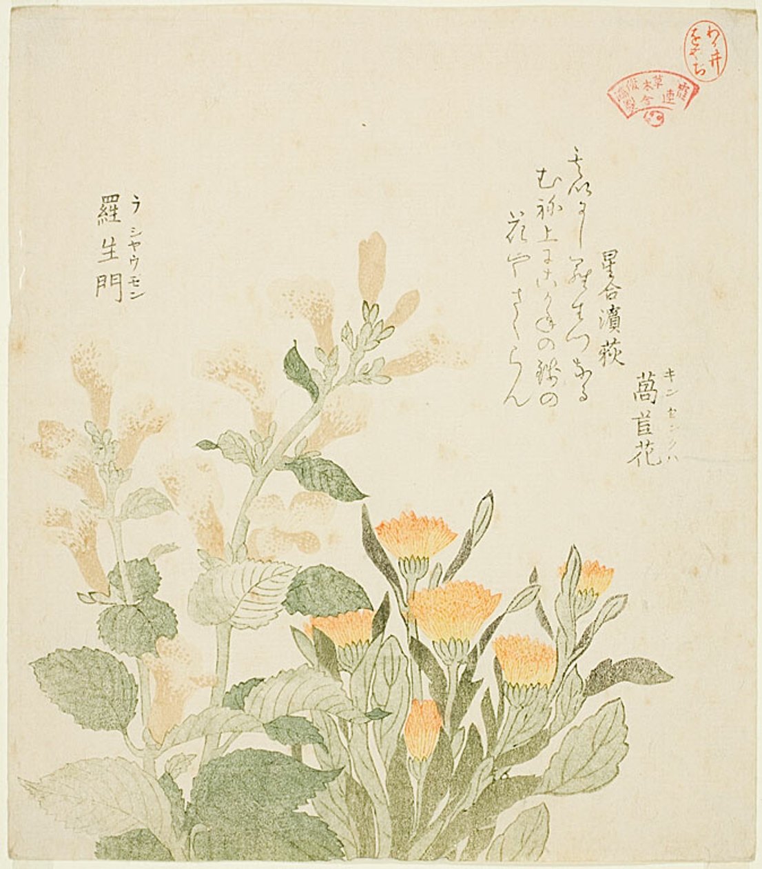 Die Gemeine Ringelblume und Die Rajoman-Blumen von Kubo Shunman