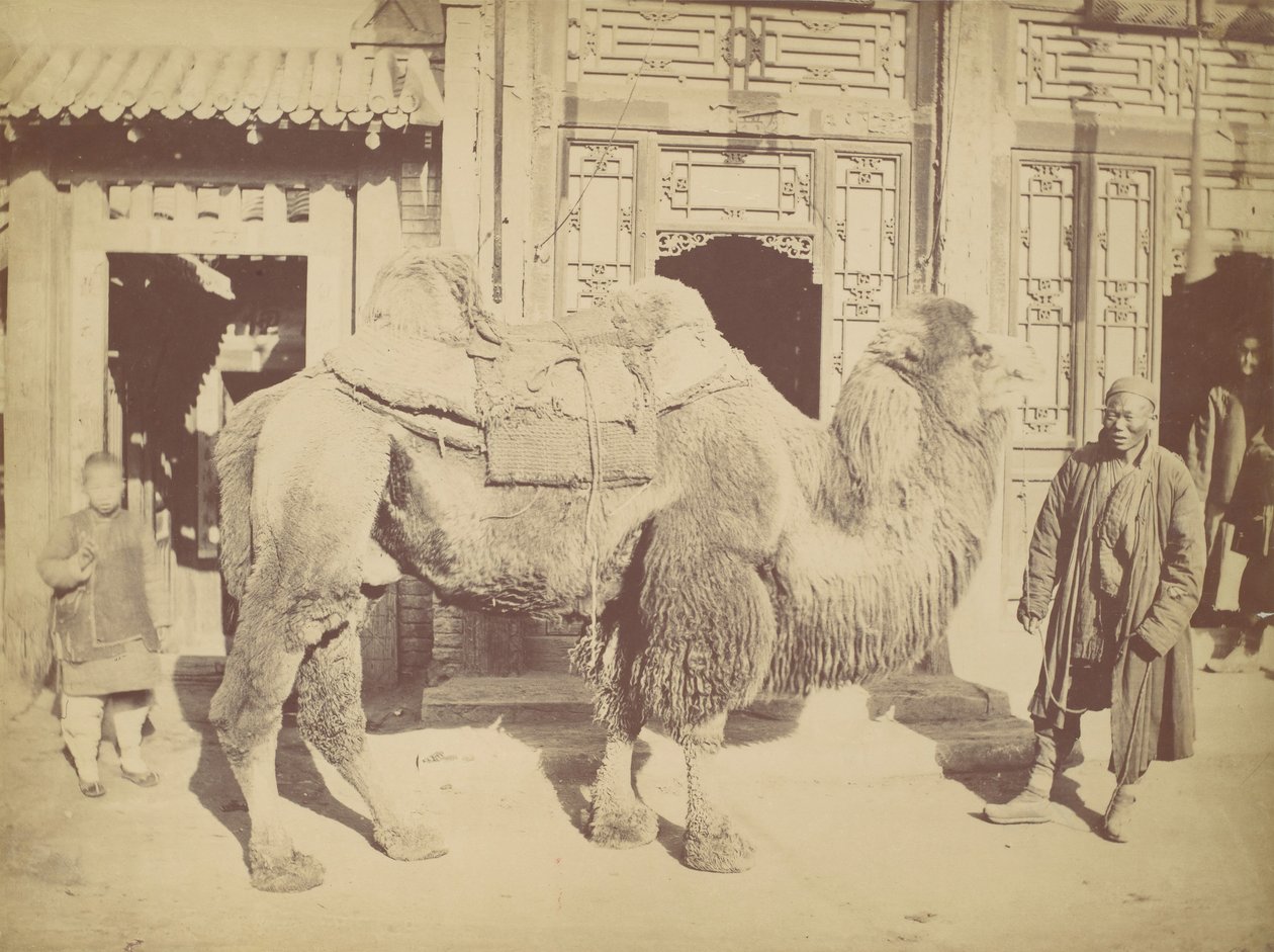 Peking. Nr. 923, 1867 von Lai Fong.