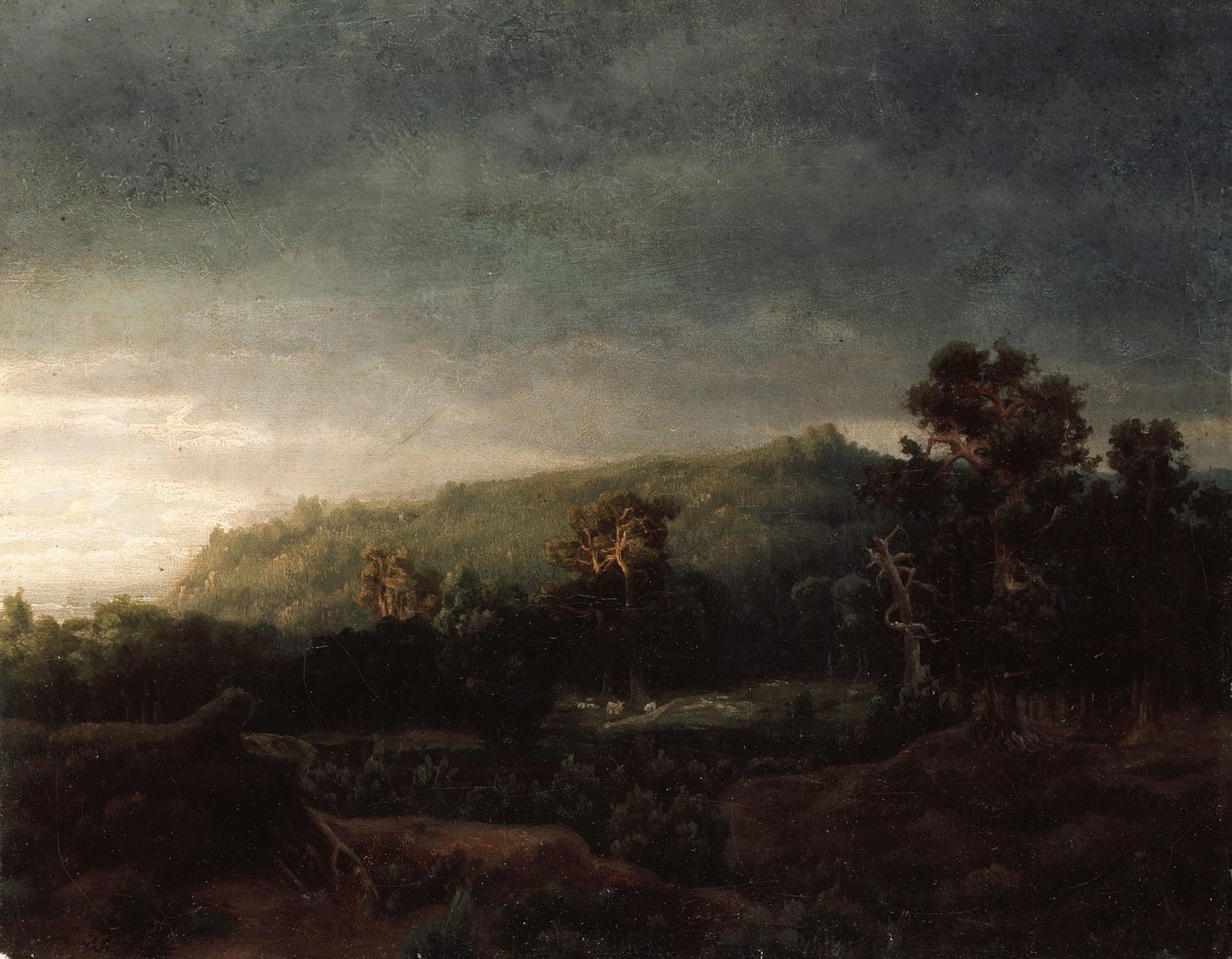 Ein Wald von Lars Hertervig