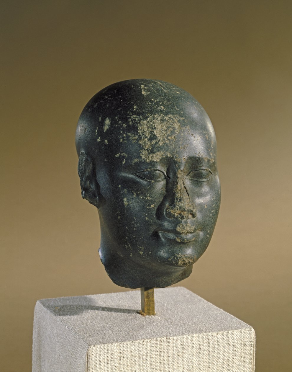 Kopf eines Mannes mit eiförmigem Schädel von Late Period Egyptian