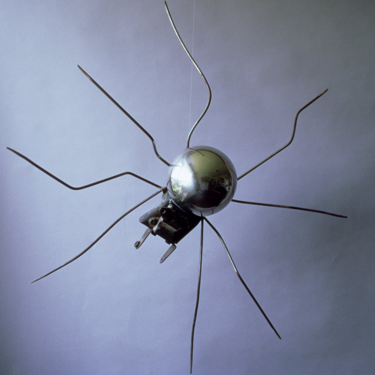 Die Spinne von Lawrie Simonson