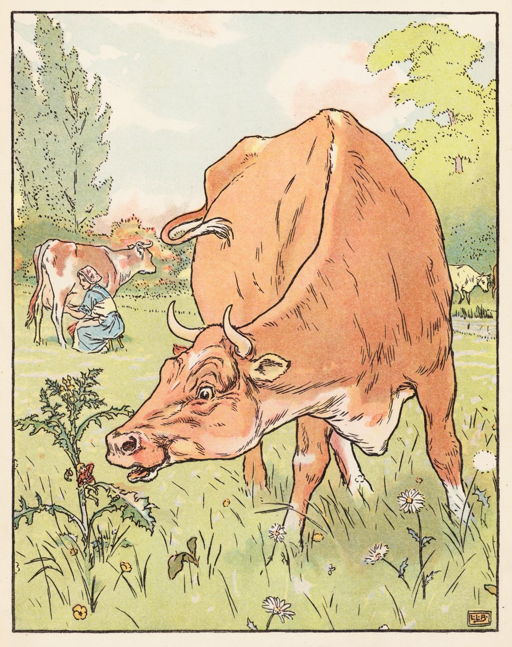 Däumling von Leonard Leslie Brooke