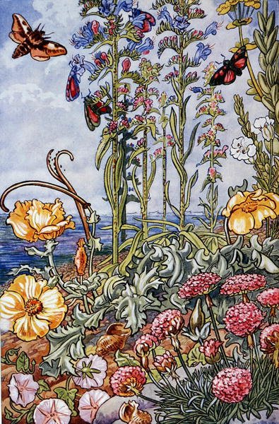 Illustration aus 