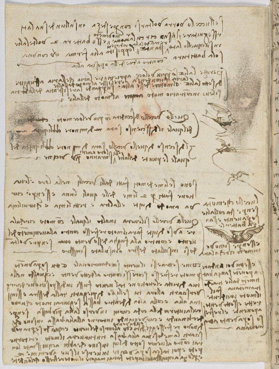 Flug der Vögel, c. 1505-06, Manuskript, Blatt 10 (verso) von Leonardo da Vinci