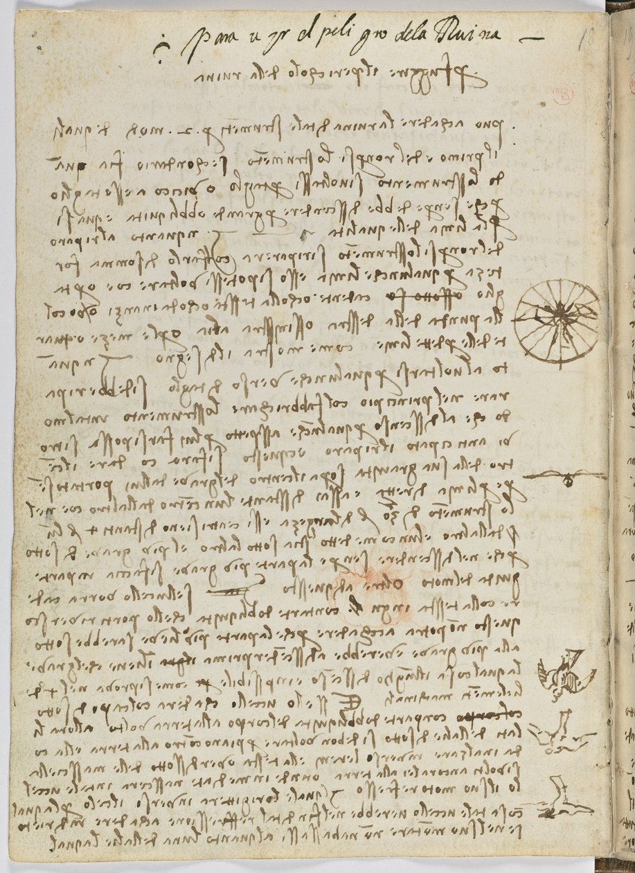 Flug der Vögel, c. 1505-06, Manuskript, Blatt 12 (verso) von Leonardo da Vinci