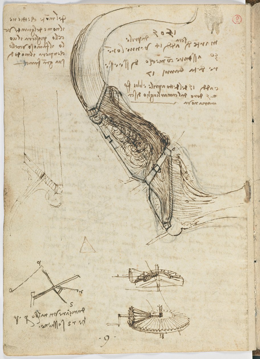 Flug der Vögel, c. 1505-06, Manuskript, Blatt 18 (verso) von Leonardo da Vinci