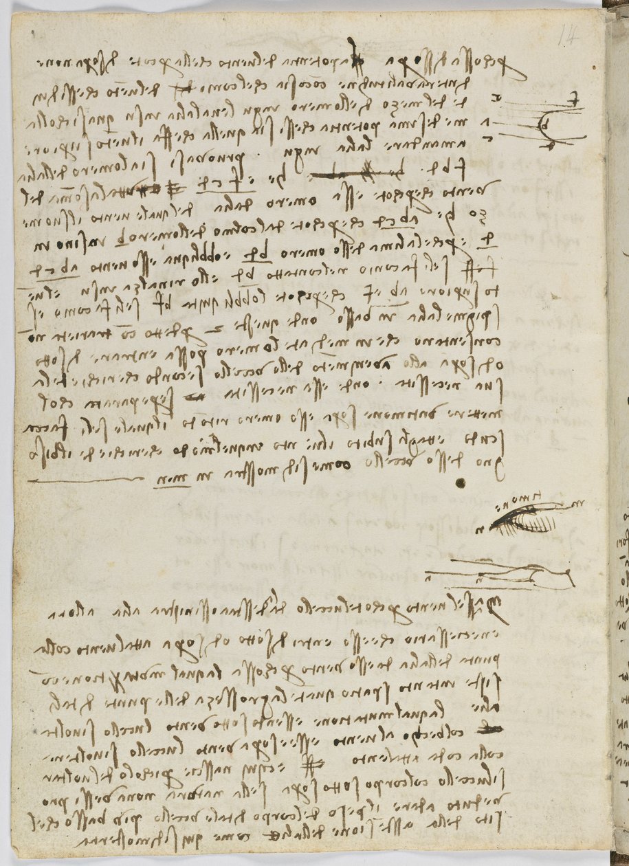Vogelflugkodex, ca. 1505-06, Papiermanuskript, cc. 18, Blatt 9 verso von Leonardo da Vinci