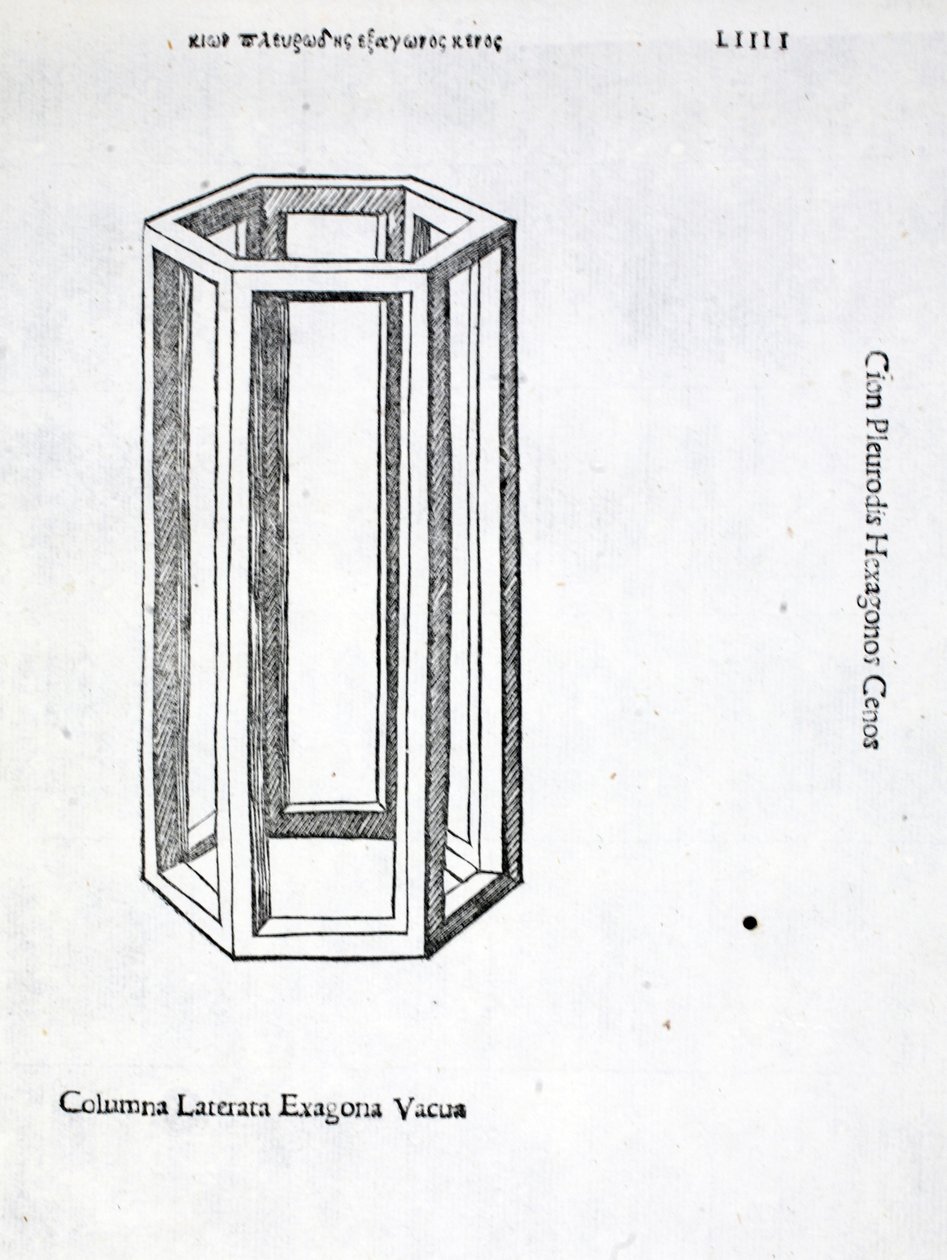 Columna laterata exagona vacua, Illustration aus 
