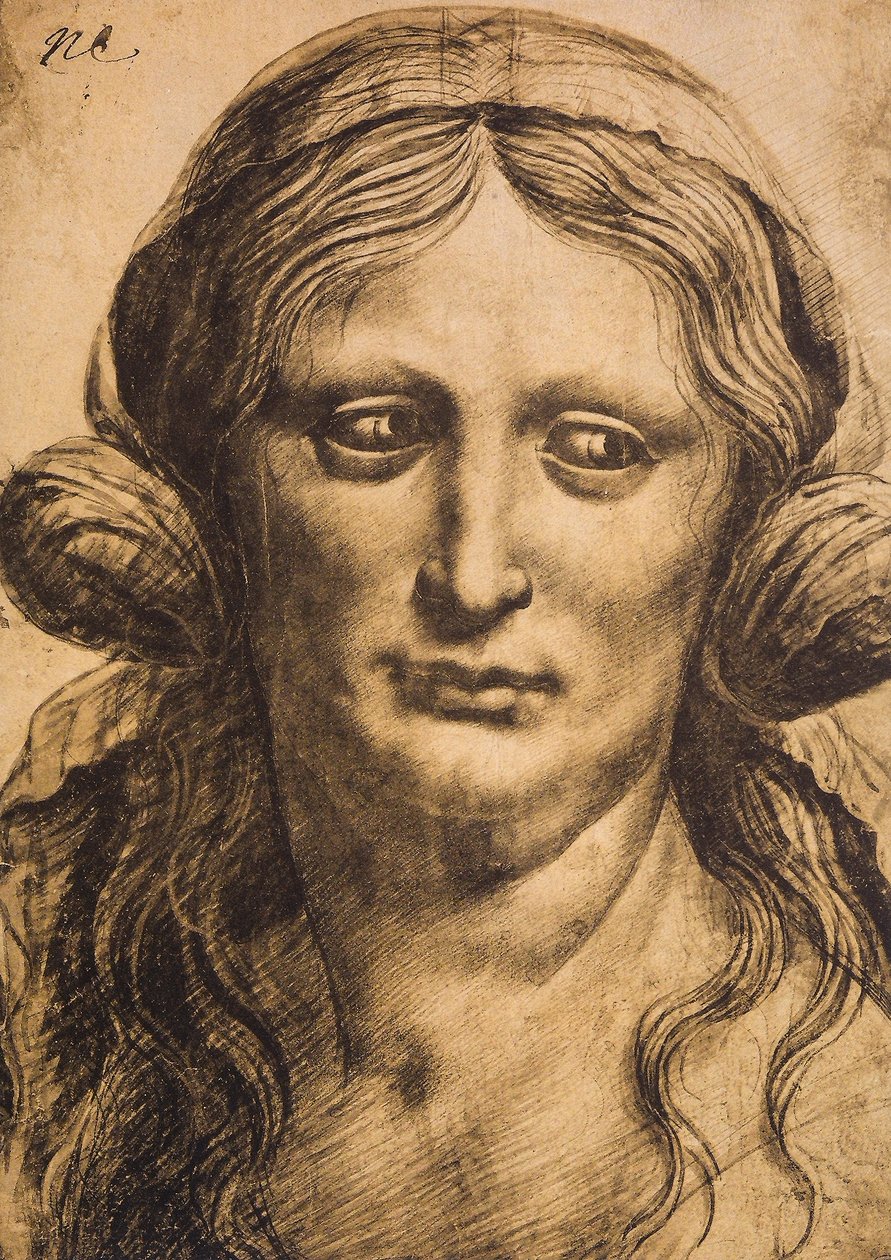 Frauenporträt von Leonardo da Vinci