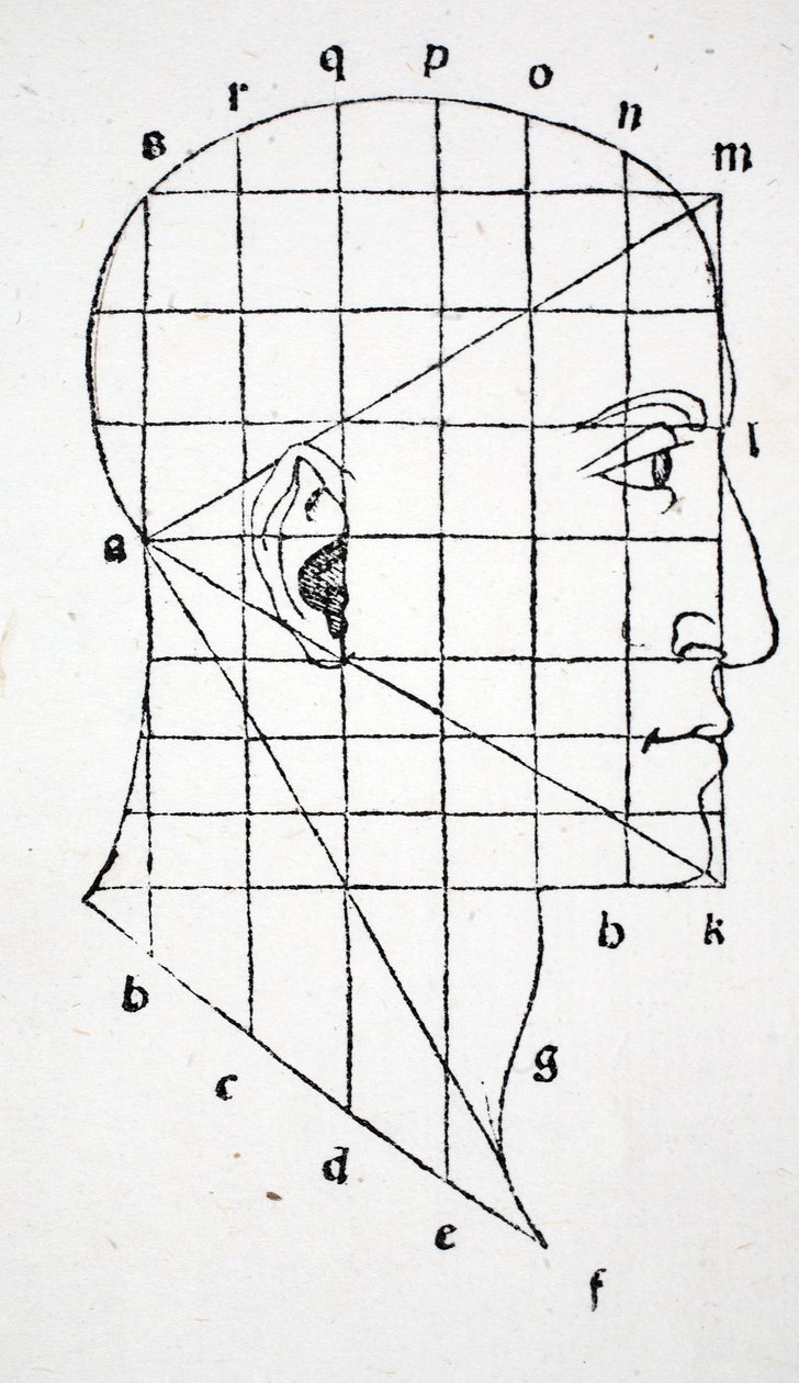 Illustration aus 