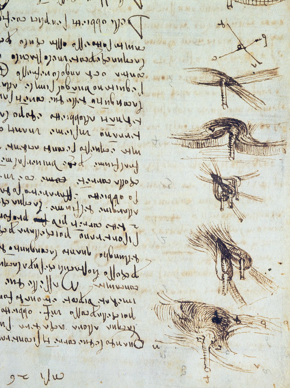 Wissenschaftliche Diagramme, aus dem Codex Leicester, 1508-12 (Detail) von Leonardo da Vinci