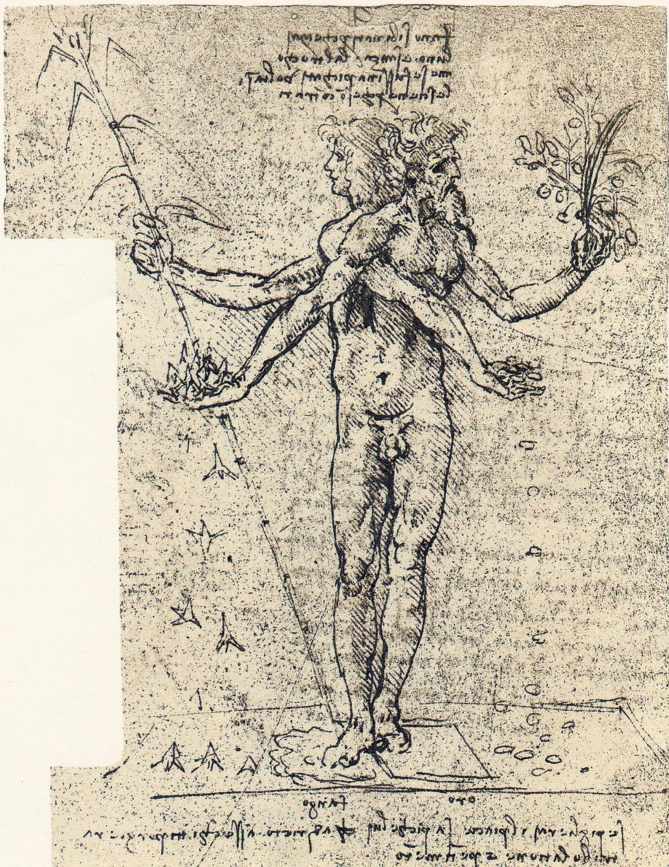 Unbekannte Zeichnung eines androgynen Körpers mit zwei Köpfen von Leonardo da Vinci
