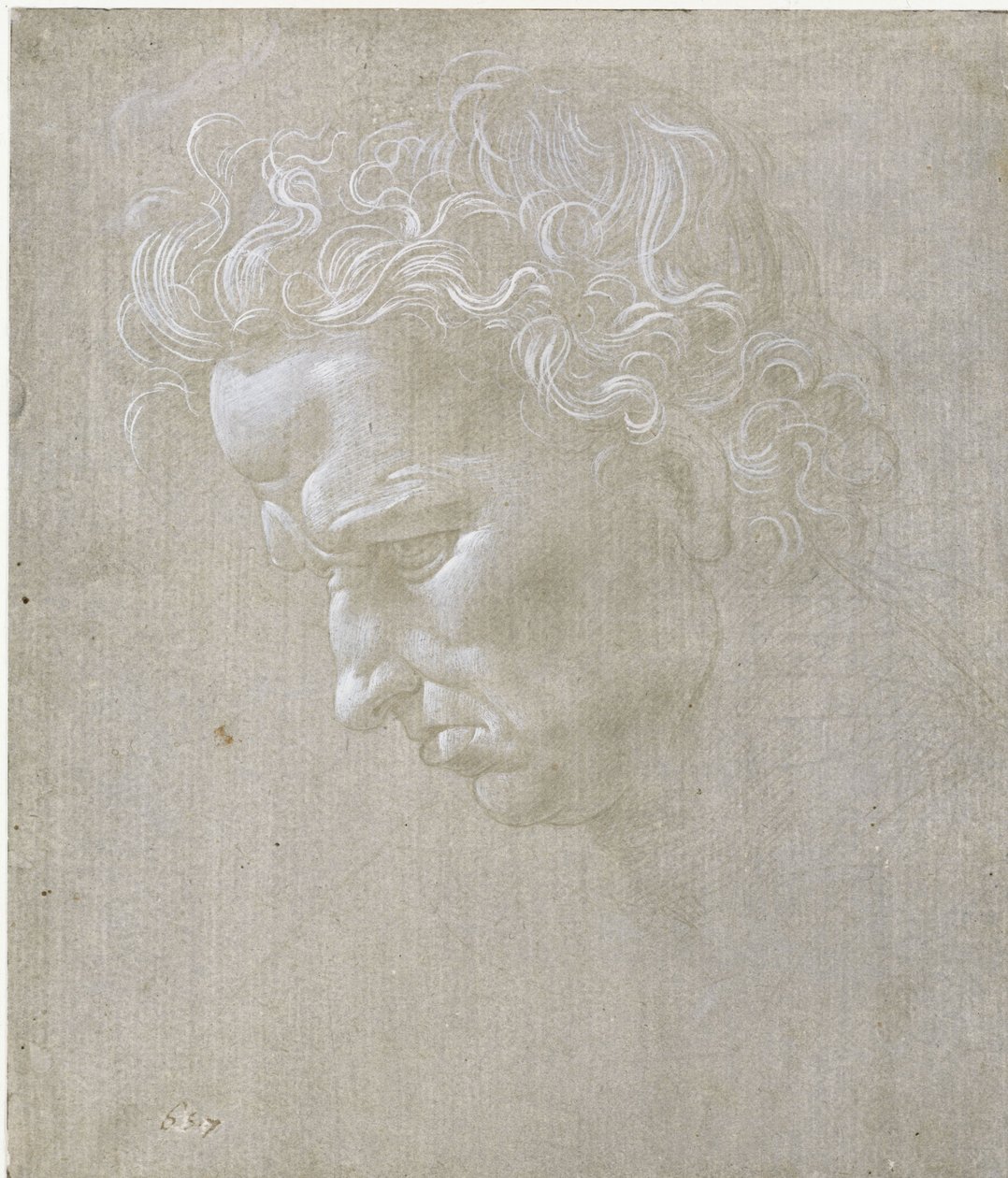 Ausdruckskopf eines Mannes im Profil von Leonardo da Vinci