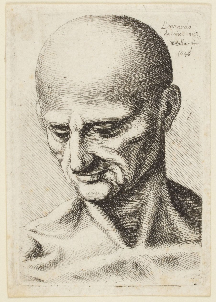 Kahlköpfiger Mann von Leonardo da Vinci
