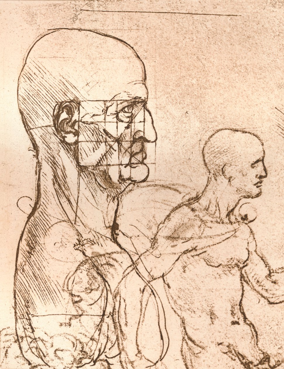 Zeichnung zur Veranschaulichung der Theorie der Proportionen der menschlichen Figur von Leonardo da Vinci
