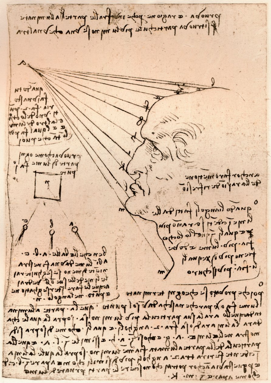 Zeichnung eines männlichen Kopfes, Illustration der Malpraxis, um 1472-1519 von Leonardo da Vinci