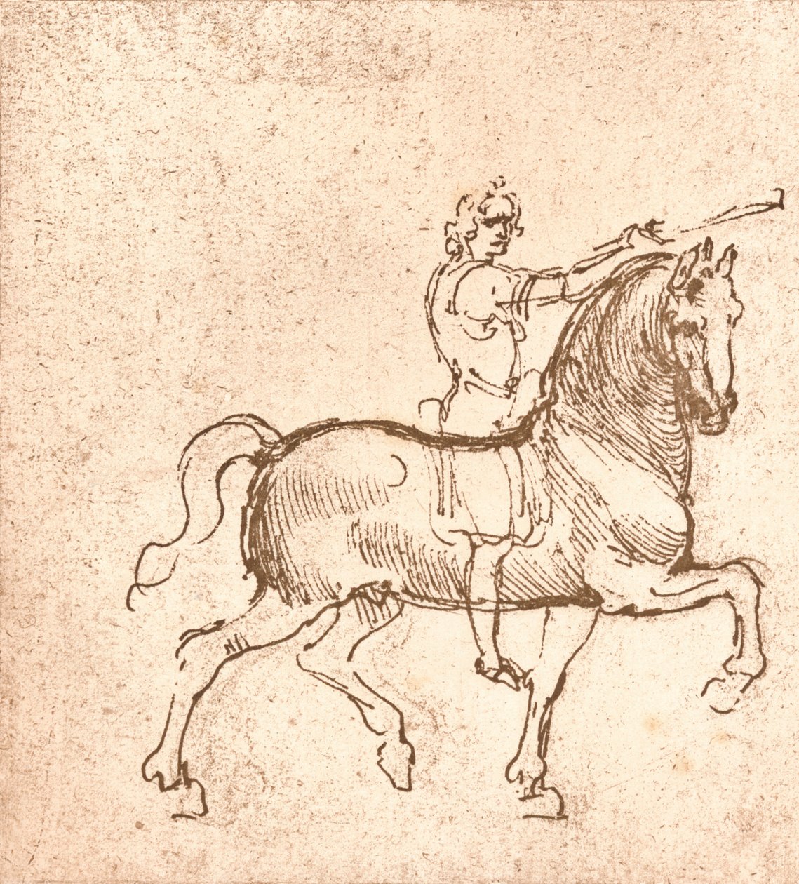 Zeichnung eines gehenden Pferdes, um 1472-um 1519, 1883 von Leonardo da Vinci