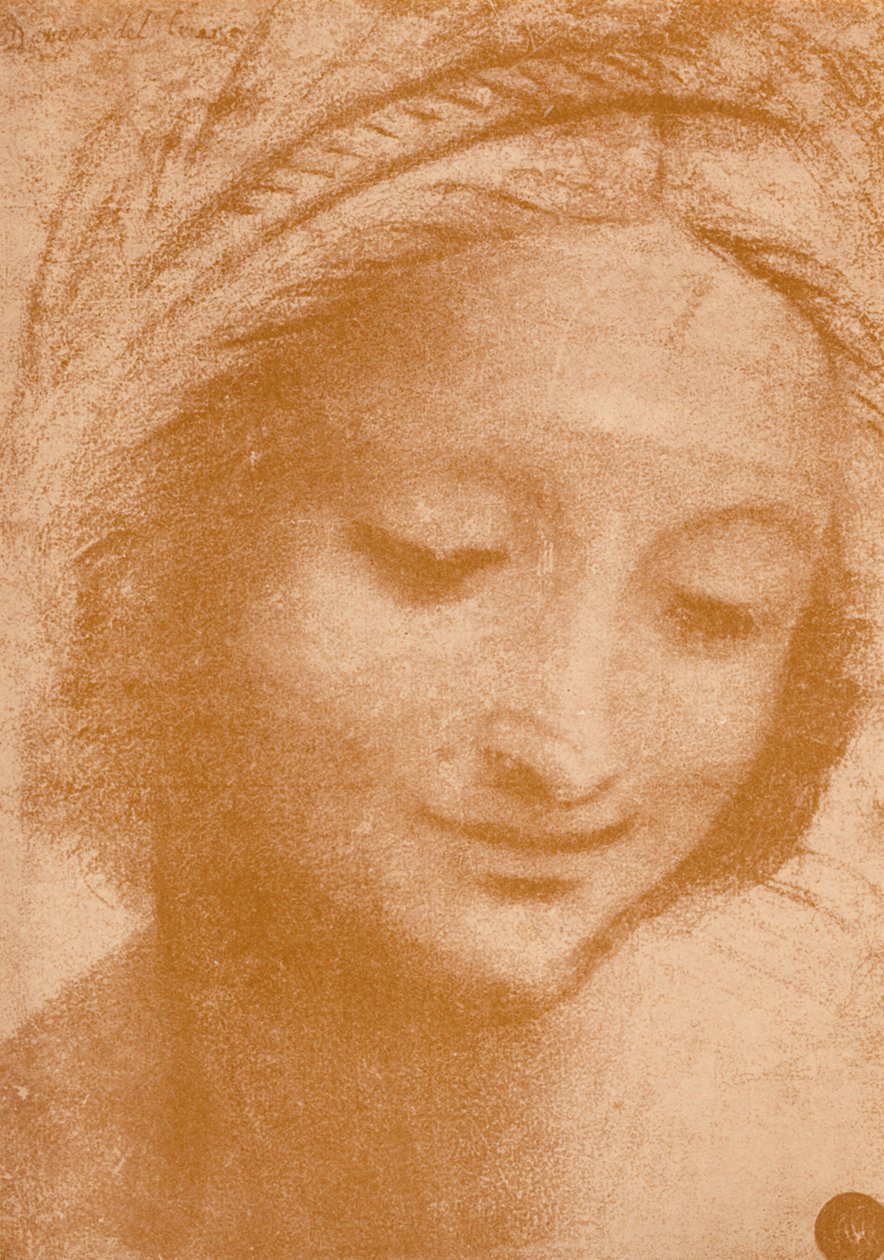 Kopf einer Frau, ca. 15. Jahrhundert von Leonardo da Vinci