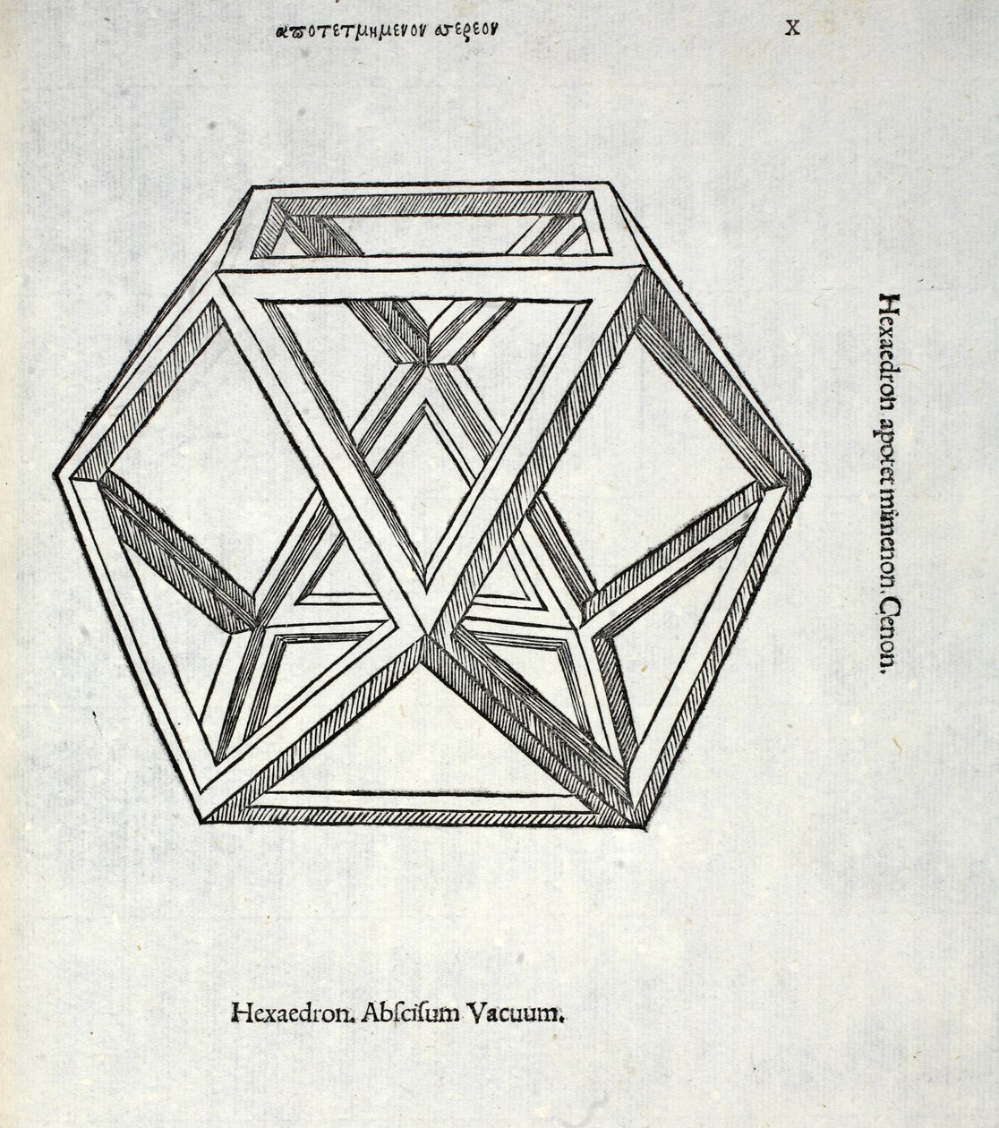 Hexaedron abscisum vacuum, Illustration aus 