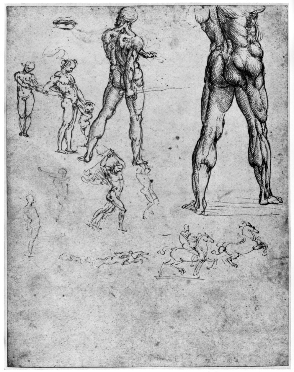 Aktstudien für Die Schlacht von Anghiari, ca. 1503-1505, 1954 von Leonardo da Vinci