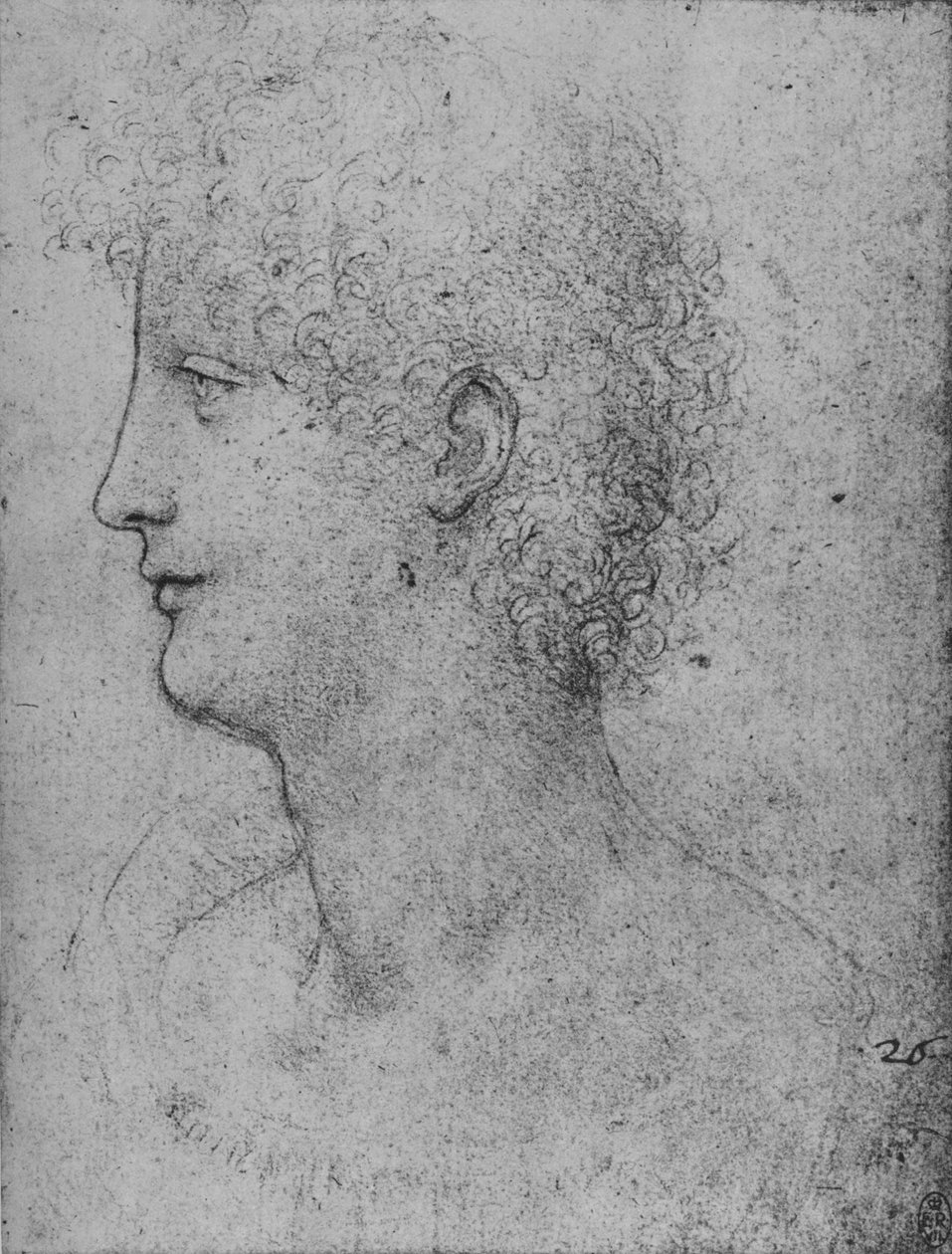 Profil eines lockigen Jugendlichen nach links, ca. 1480, 1945 von Leonardo da Vinci