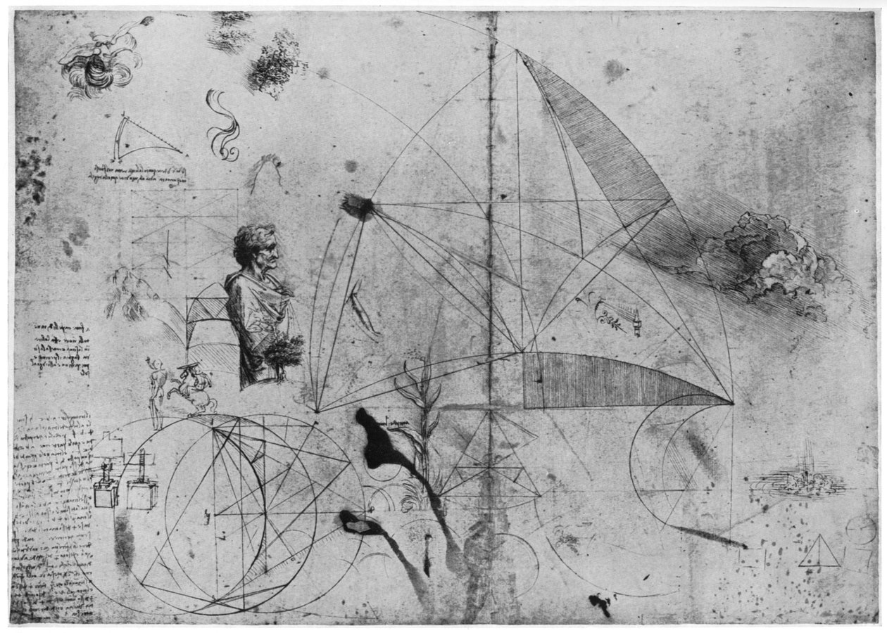 Blatt mit Studien, spätes 15. oder frühes 16. Jahrhundert 1954 von Leonardo da Vinci