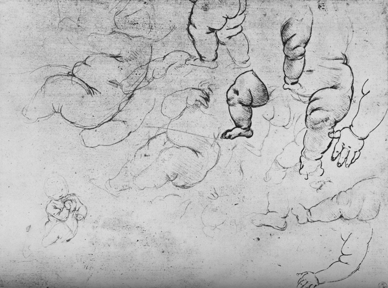 Studien eines Kindes, ca. 1490, 1945 von Leonardo da Vinci