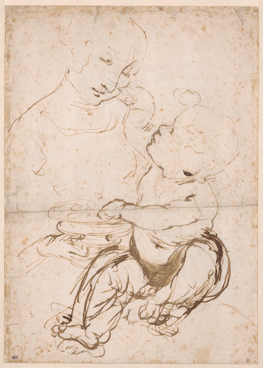 Studie für die Madonna mit einer Obstschale, ca. 1478 von Leonardo da Vinci