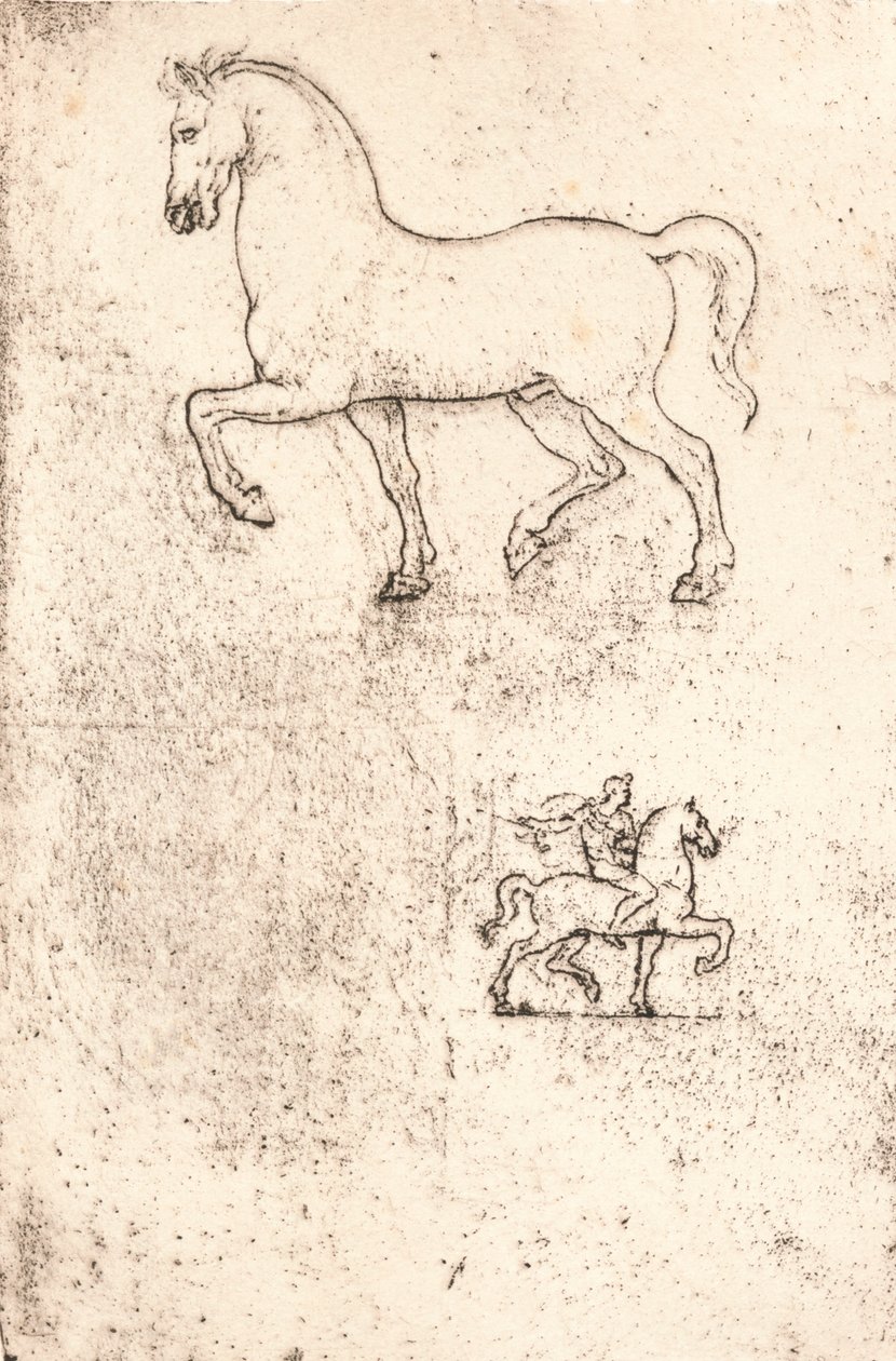 Studie für das Sforza-Denkmal, um 1482-1499 von Leonardo da Vinci