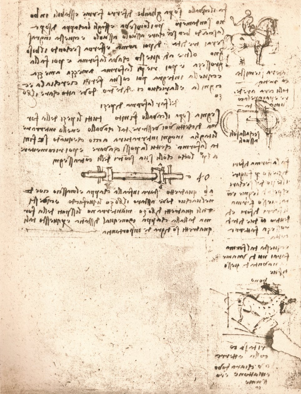 Studie für das Sforza-Denkmal, um 1482-1499, 1883 von Leonardo da Vinci