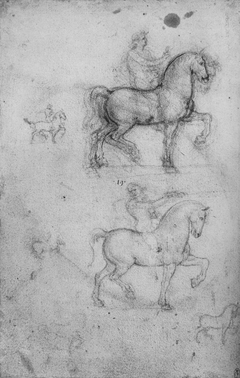 Zwei Studien von Pferden und Reitern und kleinere Studien von Pferden, um 1480 von Leonardo da Vinci