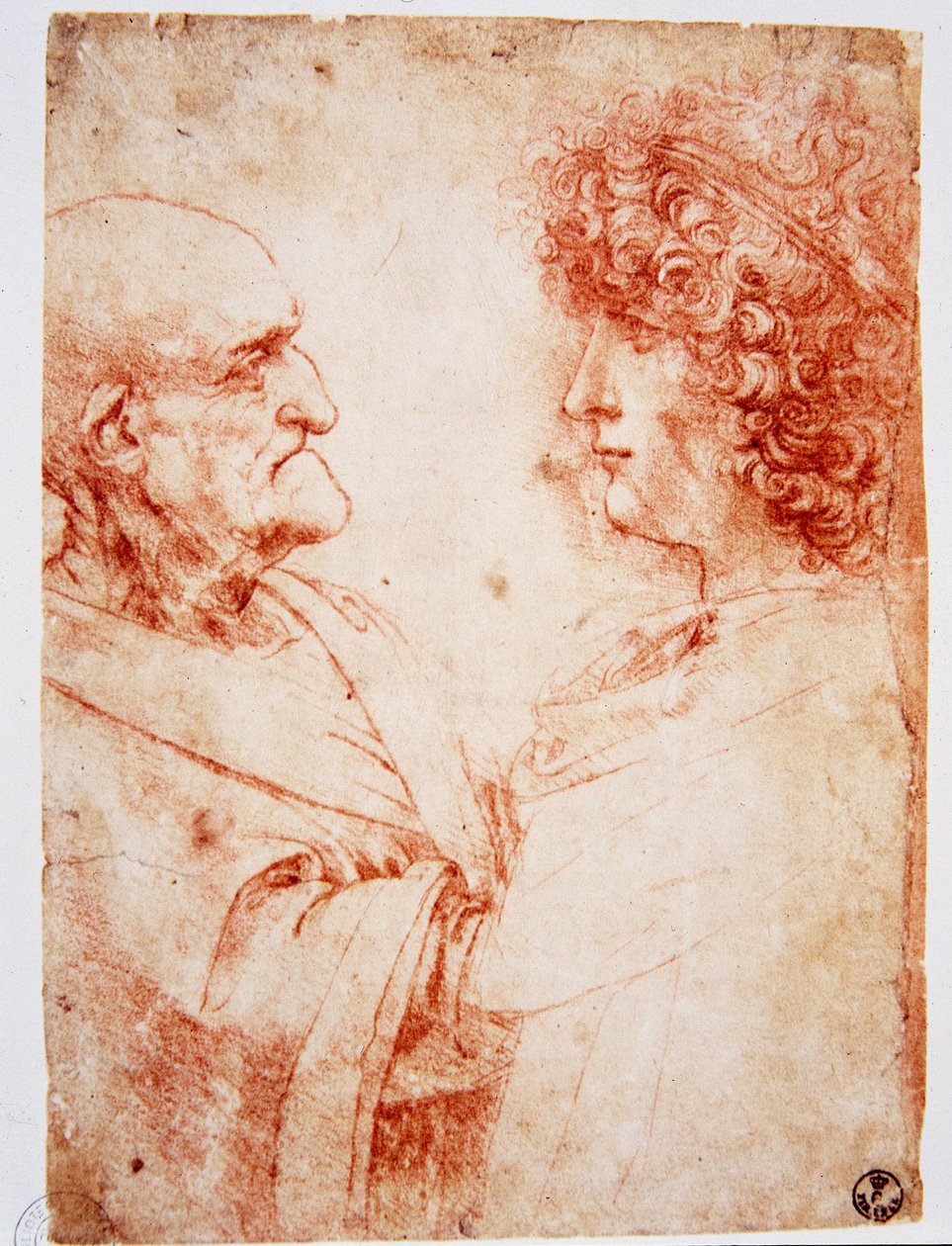 Zwei Männerprofile, ein alter Mann und ein junger Mann. Der junge Mann stellt Gian Giacomo Caprotti dar, bekannt als Andrea Salai oder Salaij (circa 1480-1524), Leonardos Schüler und Liebhaber. Zeichnung in Rötel von Leonardo da Vinci (Leonard de Vinci) (1 von Leonardo da Vinci