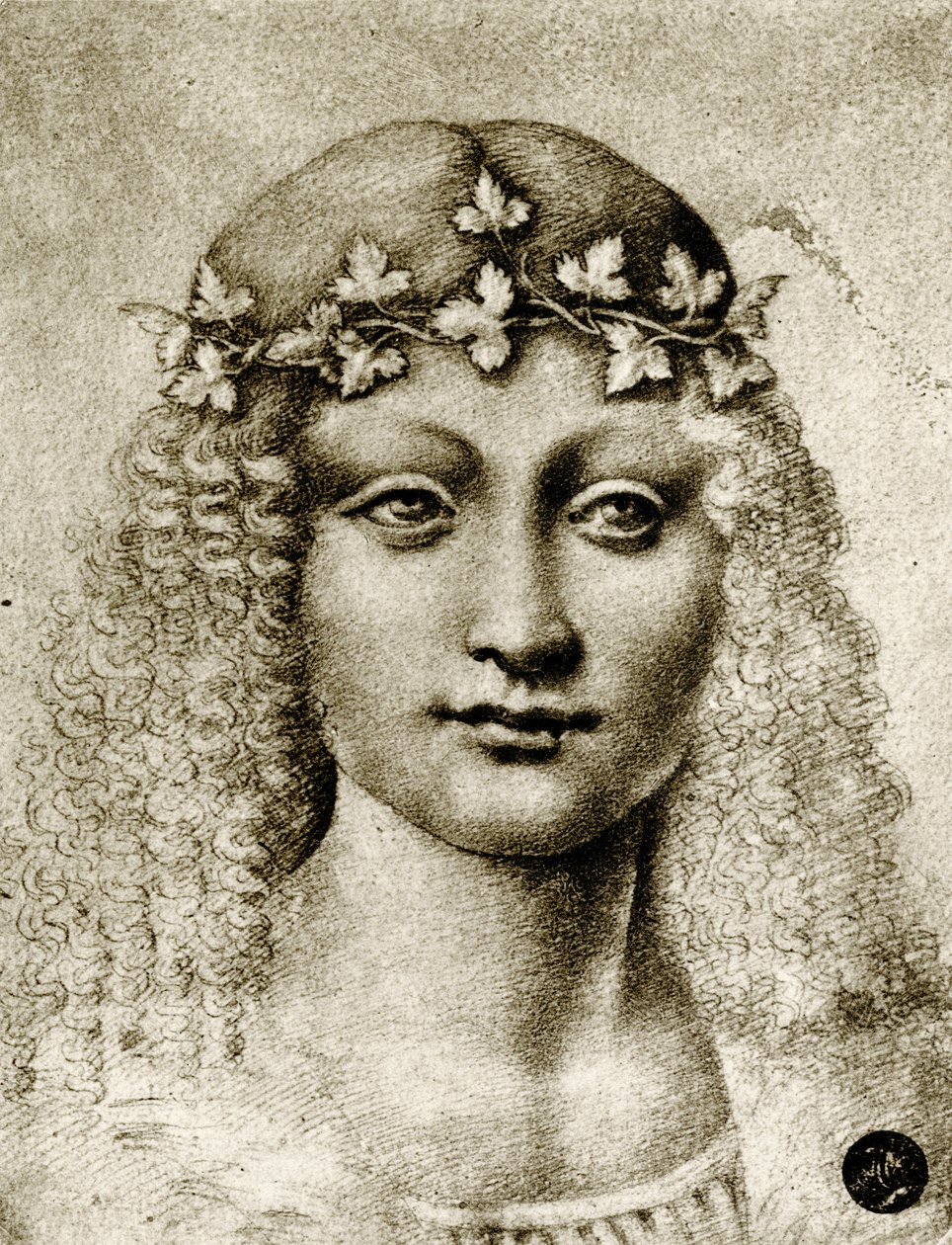 Kopf eines Mädchens mit Weinlaub gekrönt von Leonardo da school of Vinci
