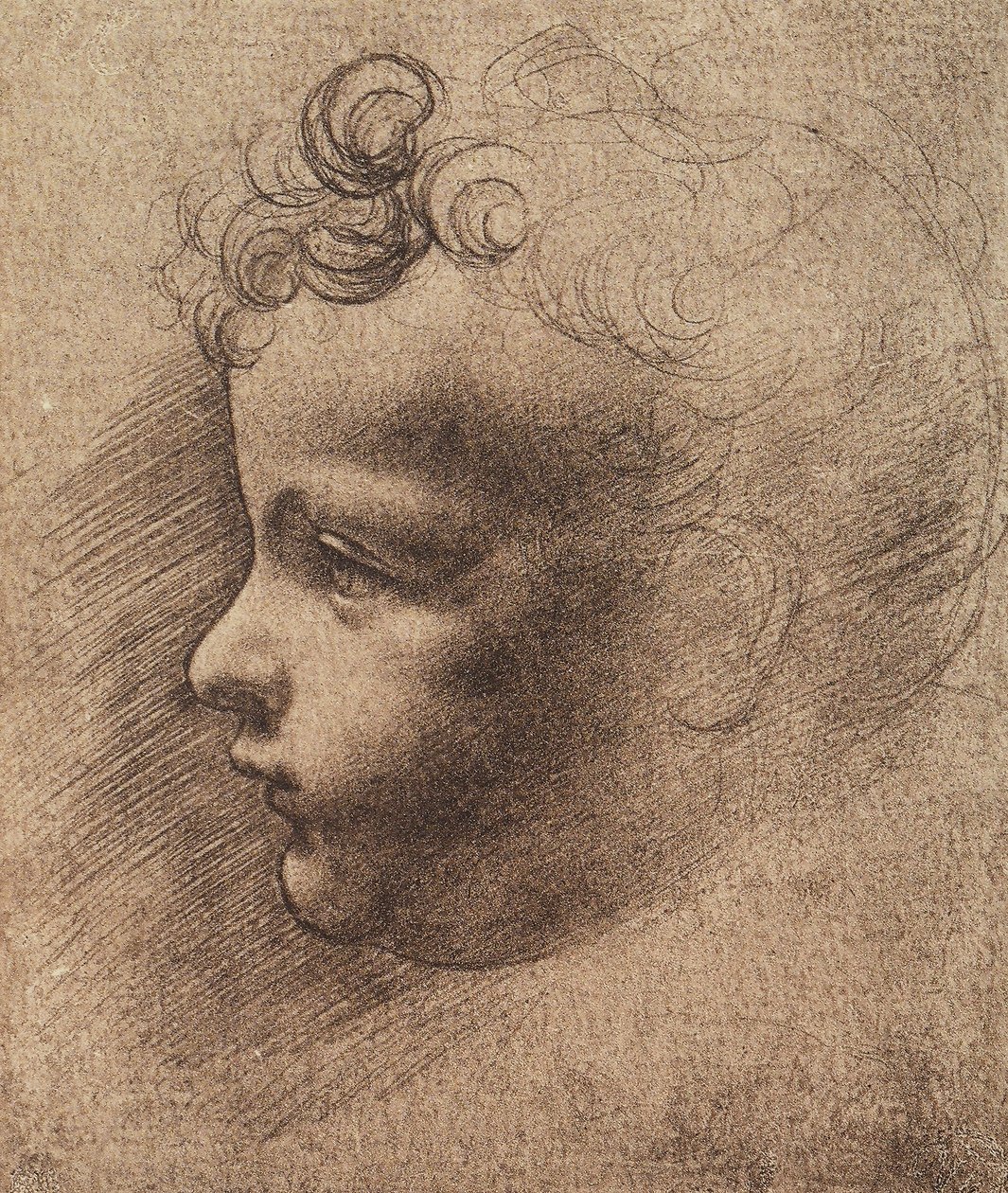 Kopf eines kleinen Jungen von Leonardo da school of Vinci