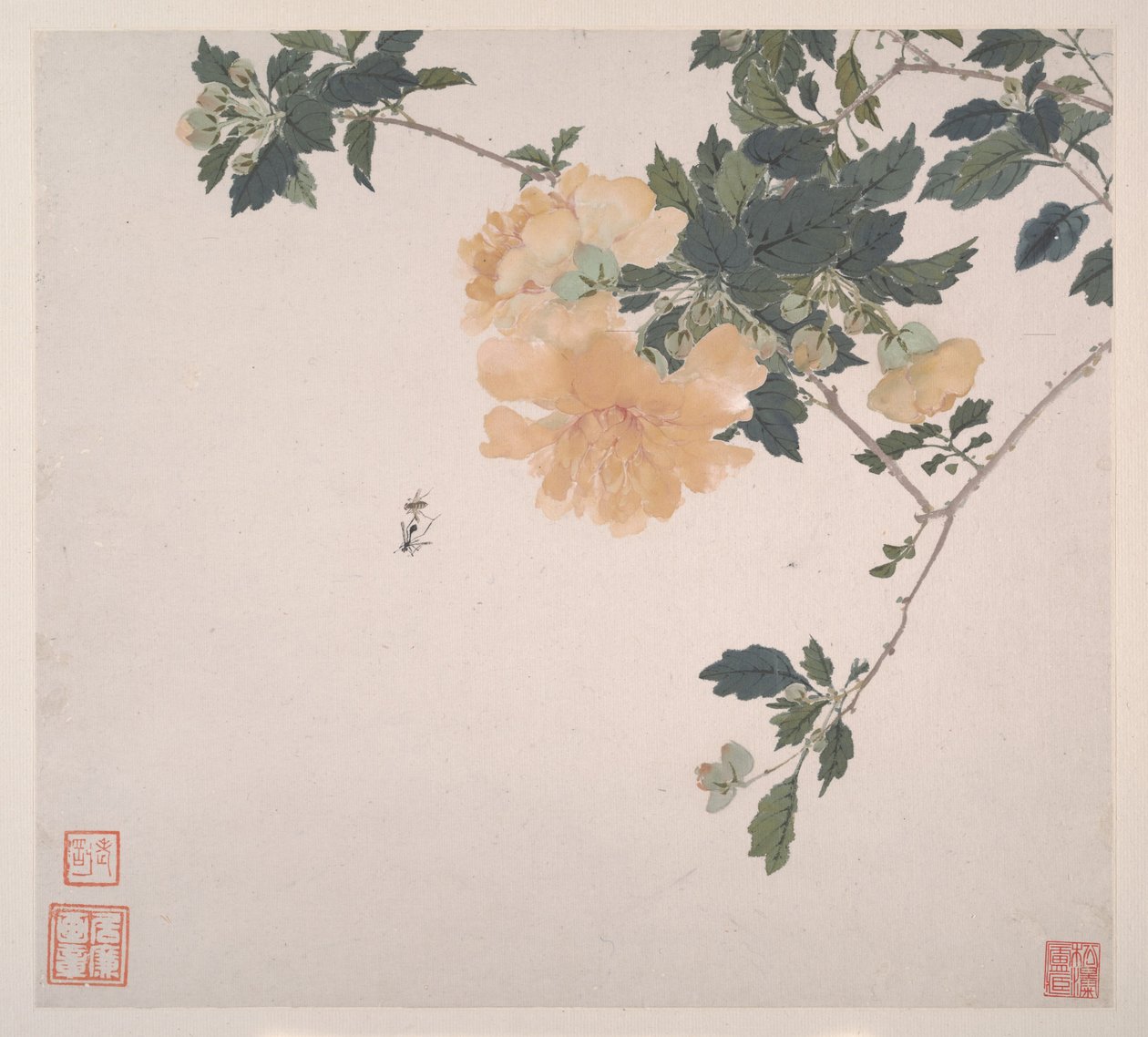 Insekten und Blumen, datiert 1865 (Album von acht Blättern) von Lian Ju
