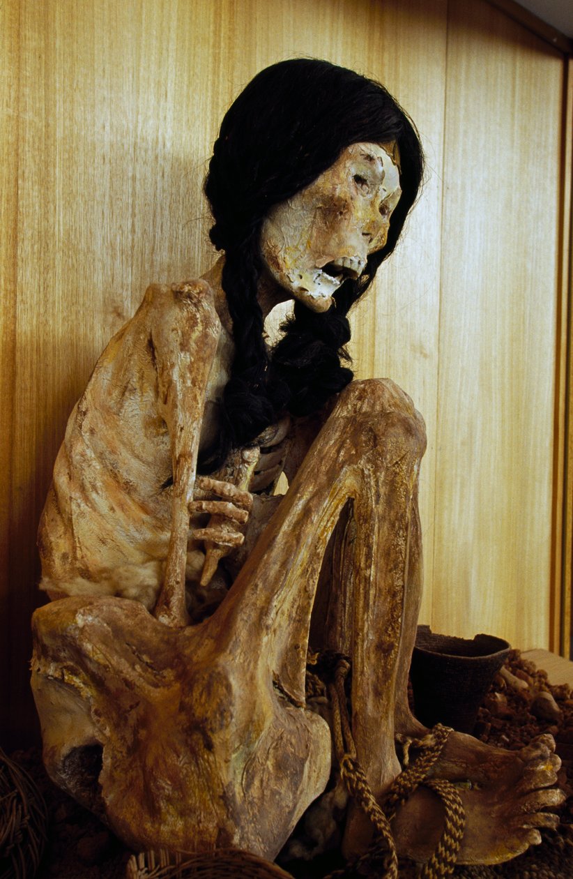 Mumie bekannt als Miss Chile, aus San Pedro de Atacama, Chile, 500 v. Chr. von Unbekannt Unbekannt