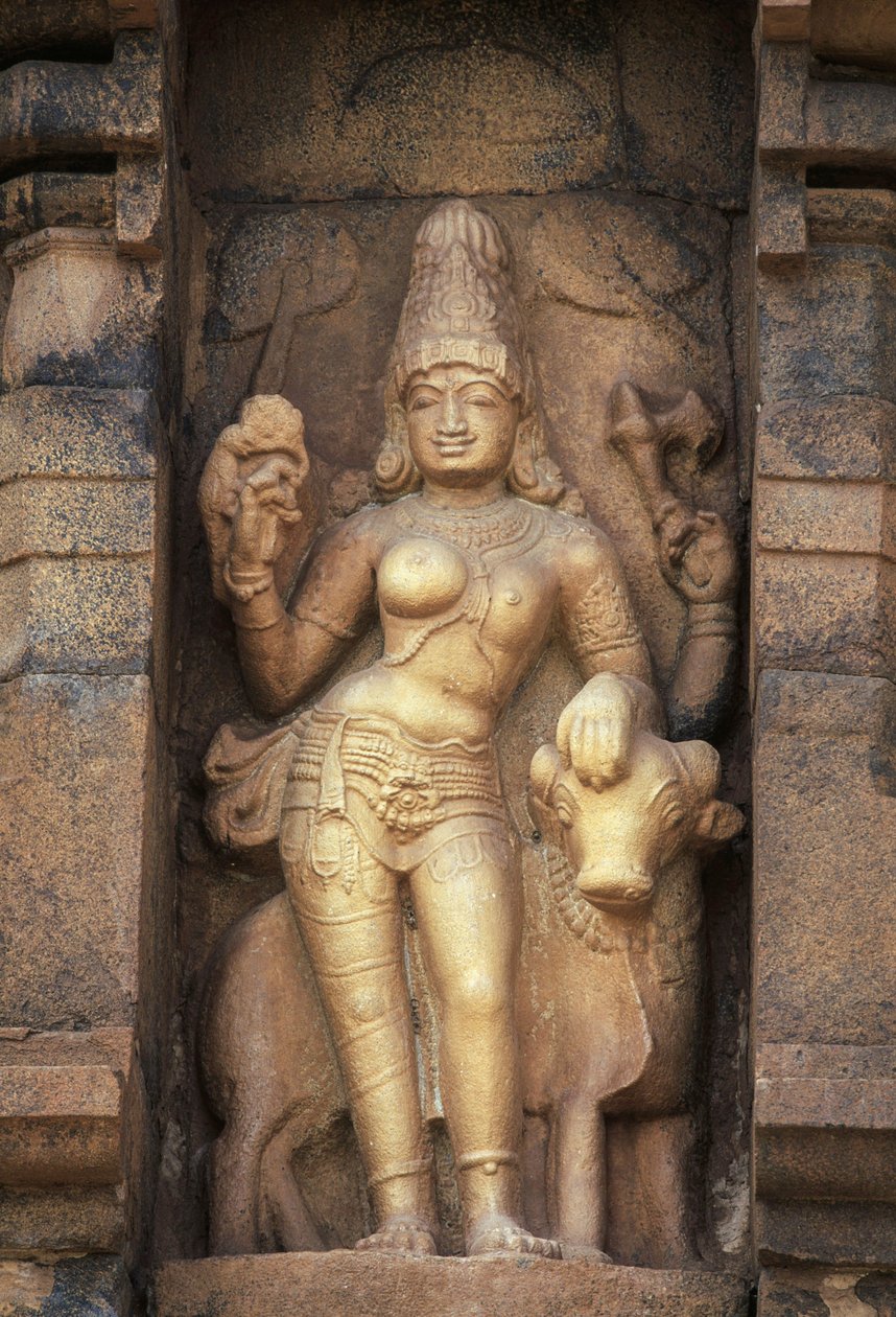 Relief, das Parvati darstellt, Brihadisvara-Tempel, Gangaikonda Cholapuram, Tamil Nadu, Indien von Unbekannt Unbekannt