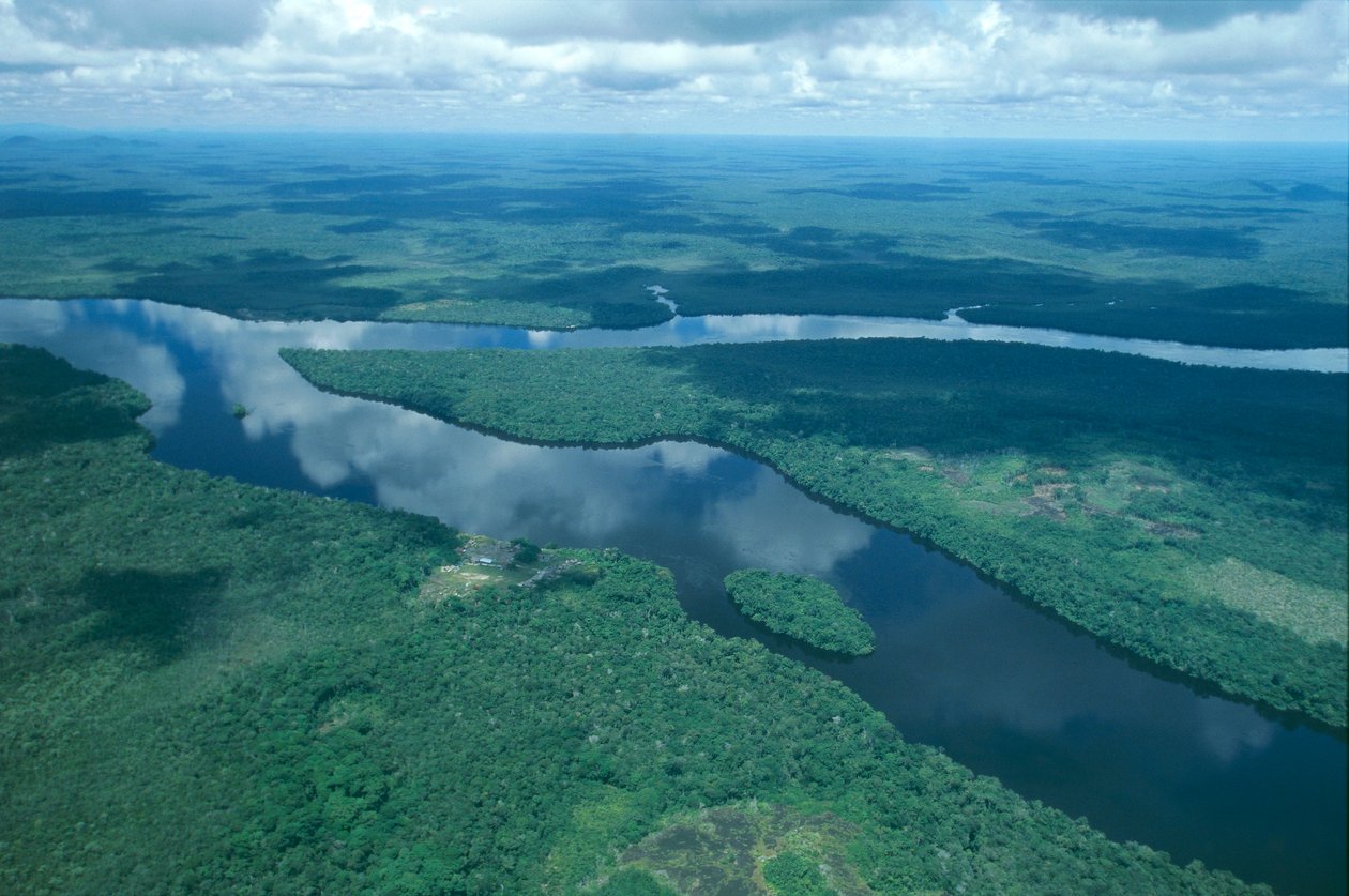 Venezuela, Guayana, Amazonas-Staat, Orinoco-Fluss (Luftaufnahme) von Unbekannt Unbekannt