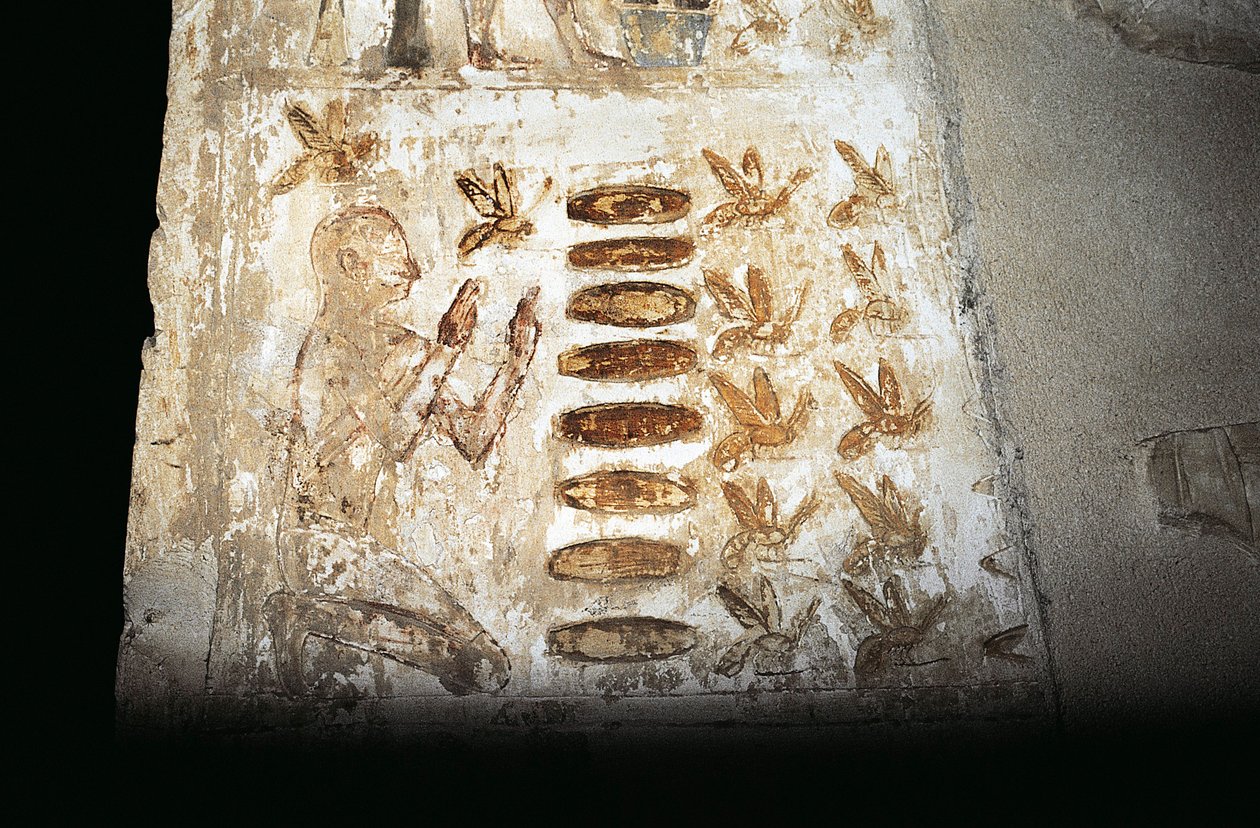 Wandmalerei, die eine Szene der Bienenzucht darstellt, auf einer Säule des Hypäthralhofs, aus dem Grab von Pabasa, Asasif (Foto) von Unbekannt Unbekannt