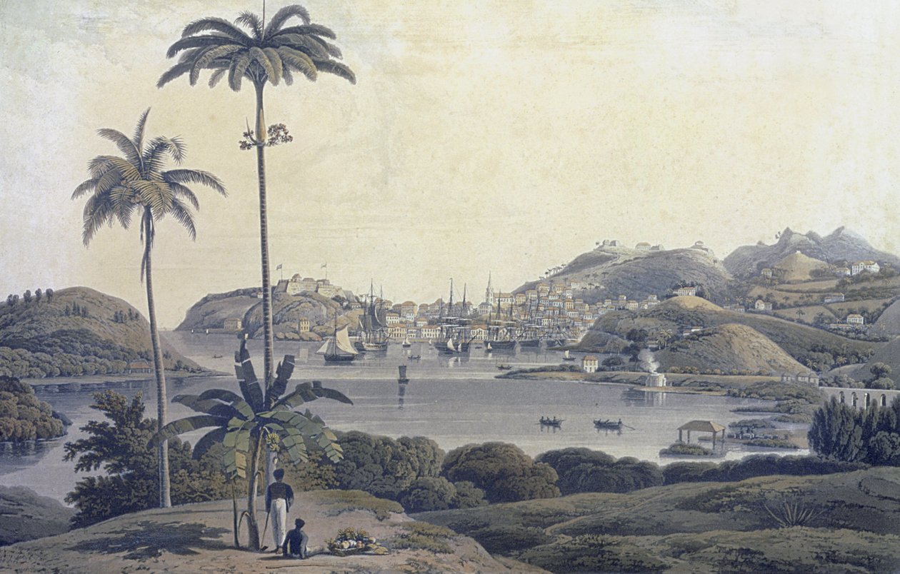 Ansicht der Stadt St. George auf der Insel Grenada, vom Belmont Estate aus gesehen, graviert von William Daniell (1769-1837), um 1810 von Lieutenant Colonel J. Wilson
