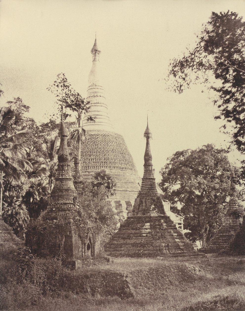 Rangun: Nahansicht der Shwe Dagon Pagode von Linnaeus Tripe
