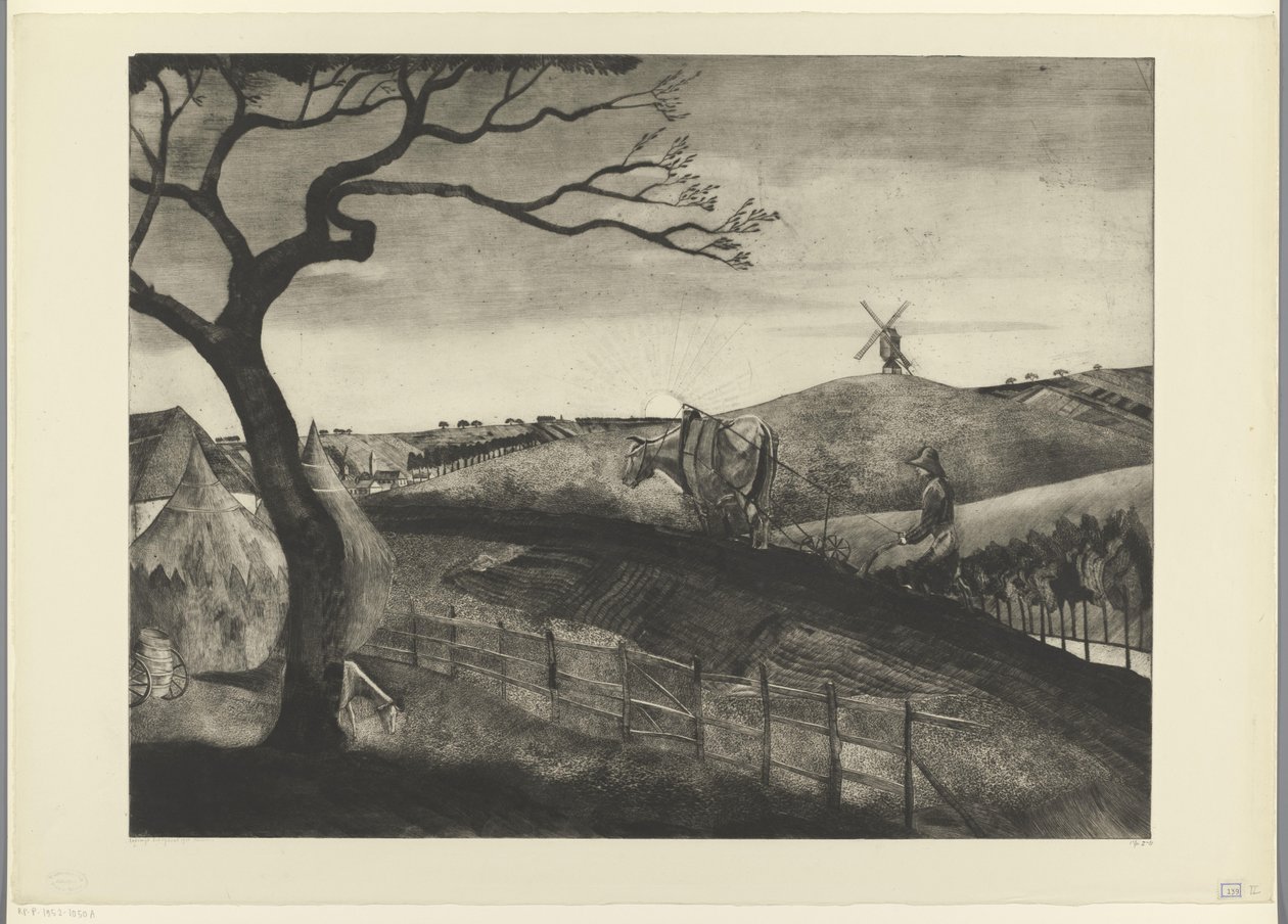 Pflügender Bauer mit einem Ochsen bei Etikhove von Lodewijk Schelfhout (signed by artist)