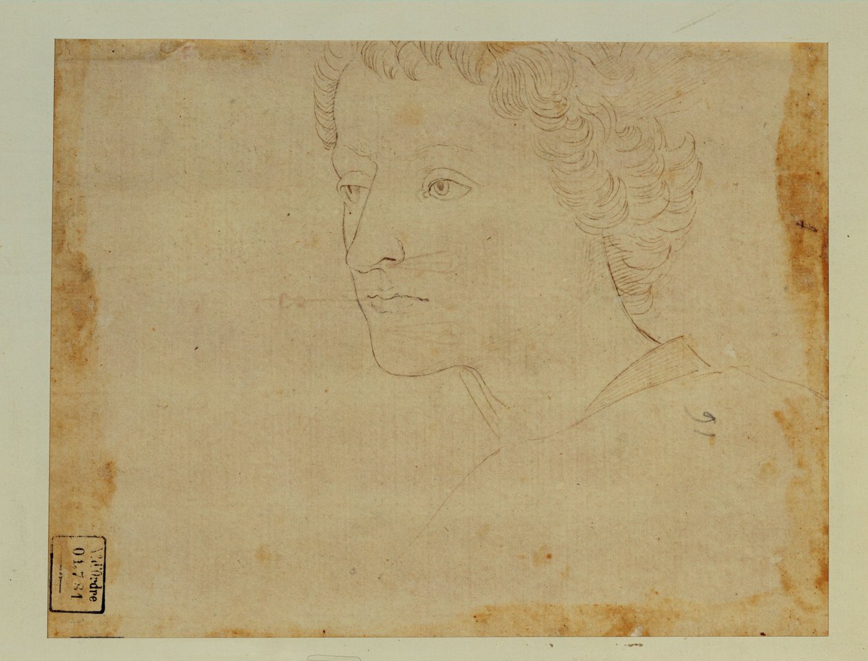 Porträt eines Jungen mit lockigem Haar, Dreiviertelansicht nach links von Lorenzo di Credi