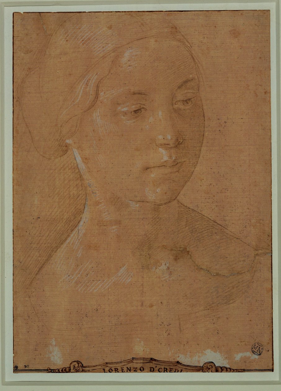 Porträt einer Frau, Dreiviertelansicht, Haare in einem Netz von Lorenzo di Credi